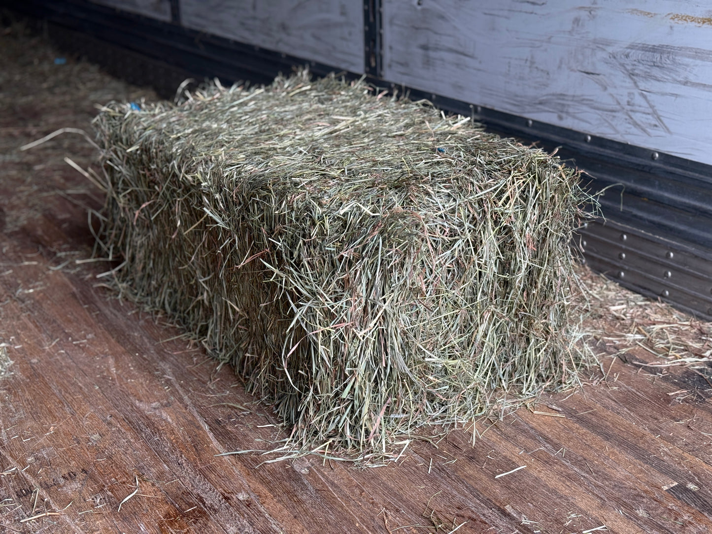 Premium Second Cut Timothy
