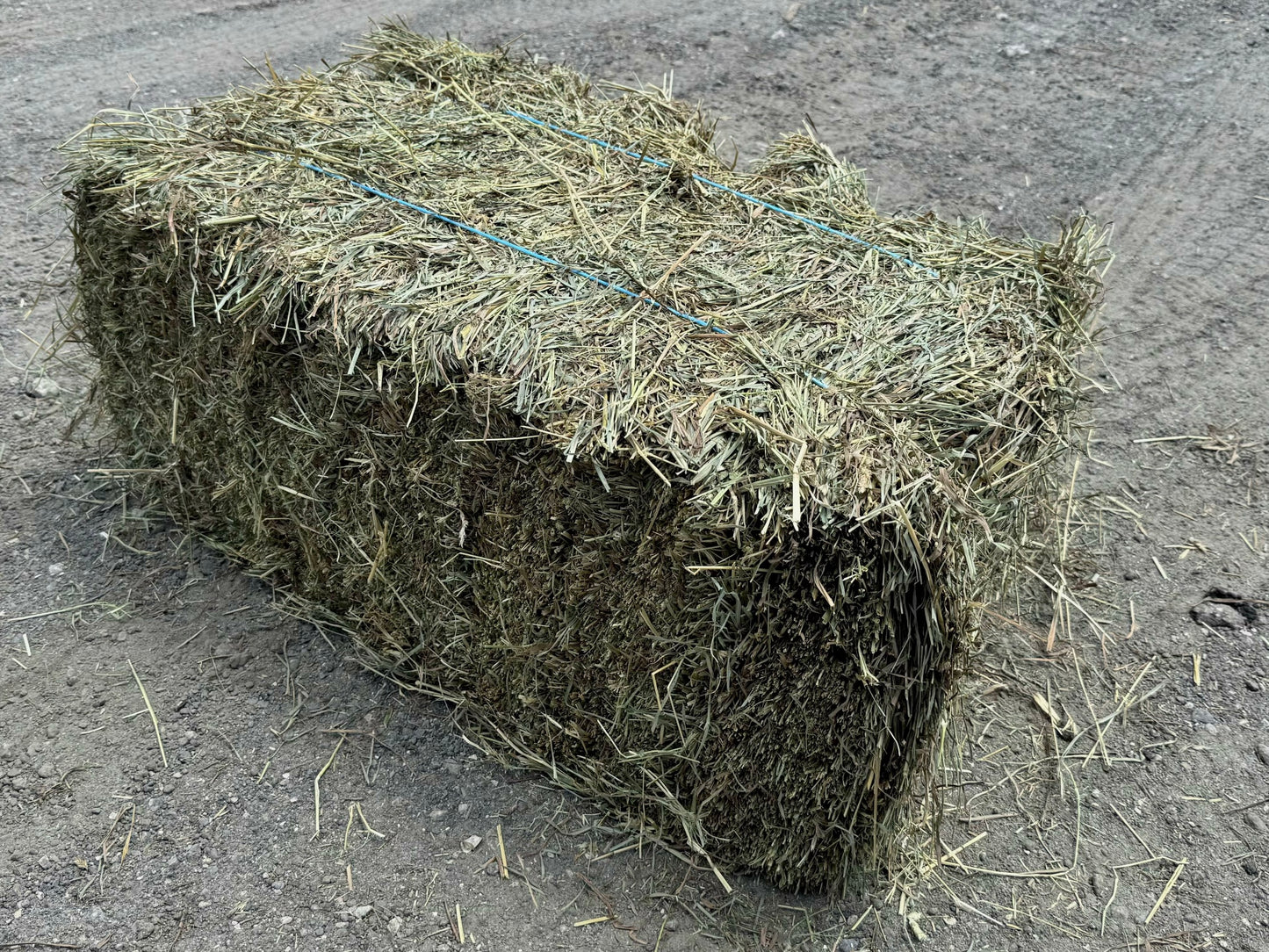 Second Cut Timothy Alfalfa