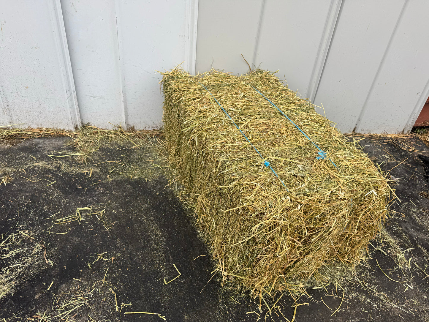 Premium Second Cut Alfalfa