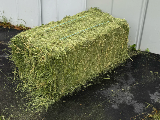 Super Premium Alfalfa