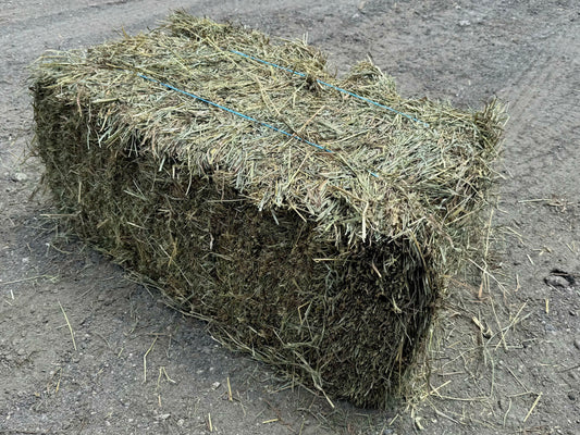 Second Cut Timothy Alfalfa